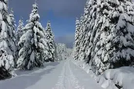 Atrakcja